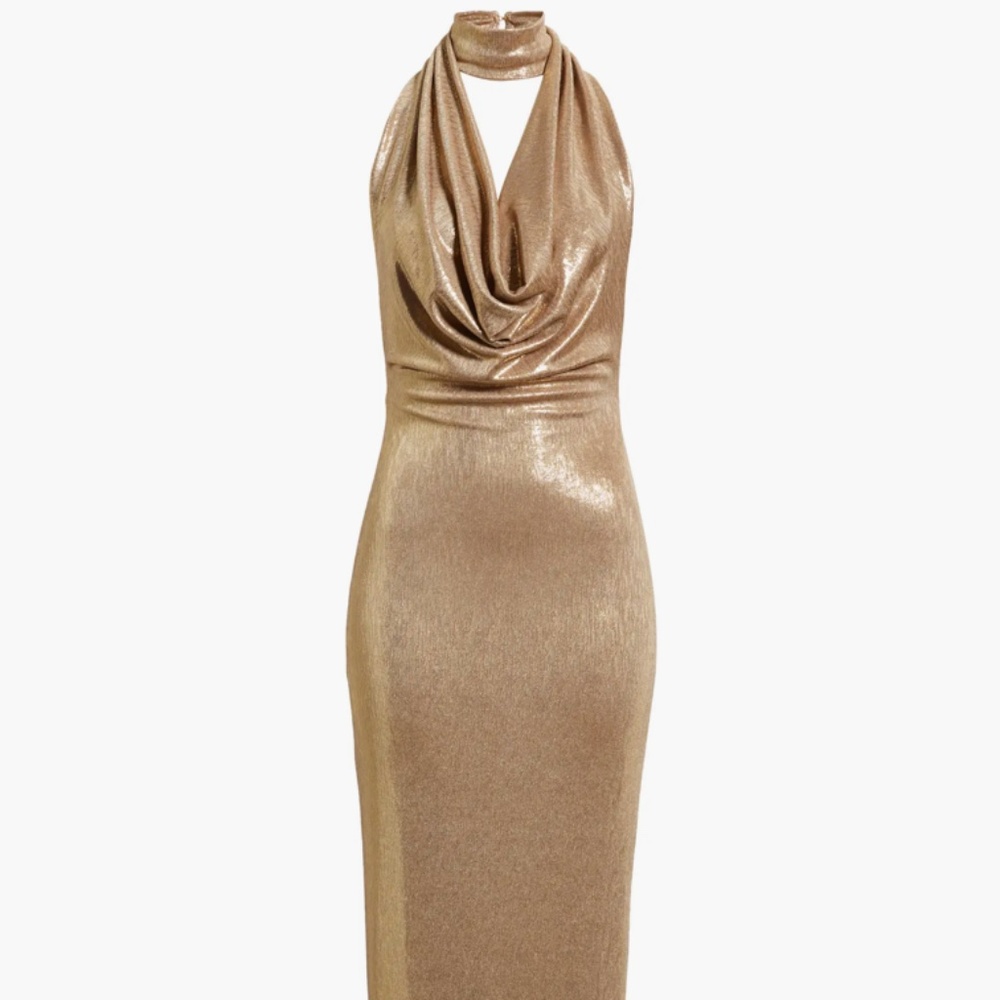 Eulalia Metallic Cowlneck Maxi Dress